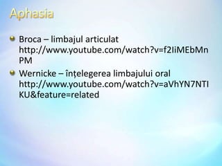 AphasiaBroca– limbajularticulat http://www.youtube.com/watch?v=f2IiMEbMnPMWernicke– înţelegerea limbajului oral http://www.youtube.com/watch?v=aVhYN7NTIKU&feature=related