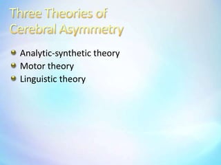 Three Theories ofCerebral AsymmetryAnalytic-synthetic theoryMotor theoryLinguistic theory