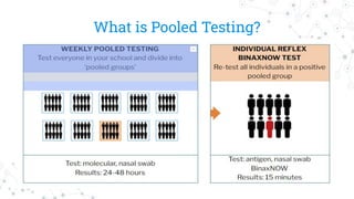 What is Pooled Testing?
 