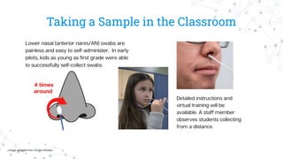 Taking a Sample in the Classroom
Image adapted from Gingko Biolabs
 