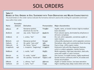 SOIL ORDERS
 
