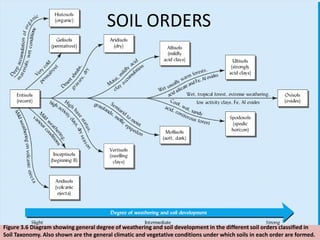 Figure 3.6 Diagram showing general degree of weathering and soil development in the different soil orders classified in
Soil Taxonomy. Also shown are the general climatic and vegetative conditions under which soils in each order are formed.
SOIL ORDERS
 