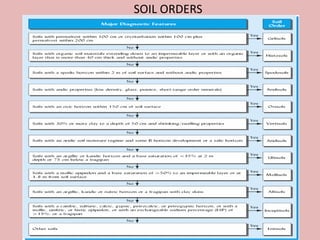 SOIL ORDERS
 