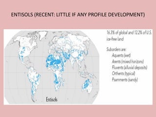 ENTISOLS (RECENT: LITTLE IF ANY PROFILE DEVELOPMENT)
 