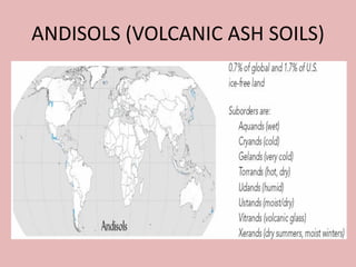 ANDISOLS (VOLCANIC ASH SOILS)
 