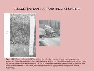 GELISOLS (PERMAFROST AND FROST CHURNING)
Figure 3.11 Gelisols in Alaska. (Left) The soil is in the suborder Histels and has a histic epipedon and
permafrost. This soil was photographed in Alaska in July. Scale in cm. (Right) Melting of the permafrost under
this section of the Alaska Highway caused the soil to lose all bearing strength and collapse. Scale in cm. (Left
photo courtesy of James G. Bockheim, University of Wisconsin; right photo courtesy of John Moore,
USDA/NRCS)
 