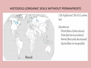 HISTOSOLS (ORGANIC SOILS WITHOUT PERMAFROST)
 
