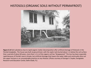 HISTOSOLS (ORGANIC SOILS WITHOUT PERMAFROST)
Figure 3.13 Soil subsidence due to rapid organic matter decomposition after artificial drainage of Histosols in the
Florida Everglades. The house was built at ground level, with the septic tank buried about 1 m below the soil surface.
Over a period of about 60 years, more than 1.2 m of the organic soil has “disappeared.” The loss has been especially
rapid because of Florida’s warm climate, but artificial drainage that lowers the water table and continually dries out
the upper horizons is an unsustainable practice on any Histosol. (Photo courtesy of George H. Snyder, Everglades
Research and Education Center, Belle Glade, FL)
 
