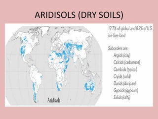 ARIDISOLS (DRY SOILS)
 