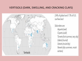 VERTISOLS (DARK, SWELLING, AND CRACKING CLAYS)
 