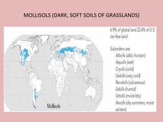 MOLLISOLS (DARK, SOFT SOILS OF GRASSLANDS)
 