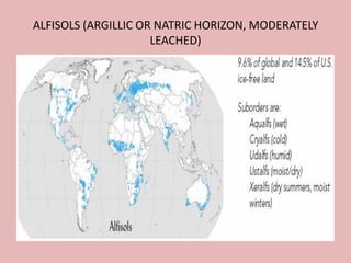 ALFISOLS (ARGILLIC OR NATRIC HORIZON, MODERATELY
LEACHED)
 