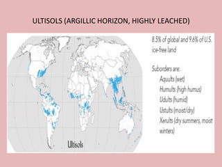 ULTISOLS (ARGILLIC HORIZON, HIGHLY LEACHED)
 