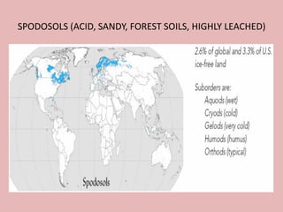 SPODOSOLS (ACID, SANDY, FOREST SOILS, HIGHLY LEACHED)
 