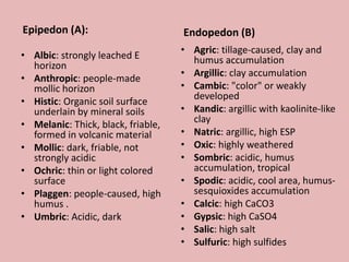 Epipedon (A):
• Albic: strongly leached E
horizon
• Anthropic: people-made
mollic horizon
• Histic: Organic soil surface
underlain by mineral soils
• Melanic: Thick, black, friable,
formed in volcanic material
• Mollic: dark, friable, not
strongly acidic
• Ochric: thin or light colored
surface
• Plaggen: people-caused, high
humus .
• Umbric: Acidic, dark
Endopedon (B)
• Agric: tillage-caused, clay and
humus accumulation
• Argillic: clay accumulation
• Cambic: "color" or weakly
developed
• Kandic: argillic with kaolinite-like
clay
• Natric: argillic, high ESP
• Oxic: highly weathered
• Sombric: acidic, humus
accumulation, tropical
• Spodic: acidic, cool area, humus-
sesquioxides accumulation
• Calcic: high CaCO3
• Gypsic: high CaSO4
• Salic: high salt
• Sulfuric: high sulfides
 