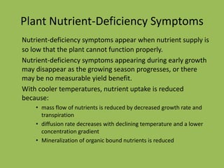 Plant Nutrient-Deficiency Symptoms
Nutrient-deficiency symptoms appear when nutrient supply is
so low that the plant cannot function properly.
Nutrient-deficiency symptoms appearing during early growth
may disappear as the growing season progresses, or there
may be no measurable yield benefit.
With cooler temperatures, nutrient uptake is reduced
because:
• mass flow of nutrients is reduced by decreased growth rate and
transpiration
• diffusion rate decreases with declining temperature and a lower
concentration gradient
• Mineralization of organic bound nutrients is reduced
 