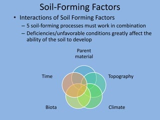 Fpt 2093 soil_science_week_6_factors_amp_processes_of_soil_formation | PPTX