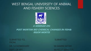 WEST BENGAL UNIVERSITY OF ANIMAL
AND FISHERY SCIENCES
A SEMINAR ON:
POST MORTEM BIO CHEMICAL CHANGES IN FISH&
RIGOR MORTIS
SUBMITTED TO, SUBMITTED
FROM,
DR. S.CHOWDHURY SK.SAMIM AKTAR
DEPT. OF FPT M.FSC1ST SEM1ST YR
 