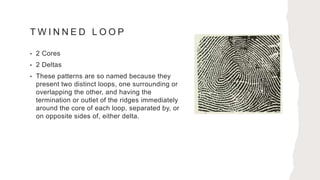 Friction Ridge characteristics and comparison of Fingerprints.pptx