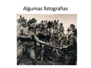 Algumas fotografias

 