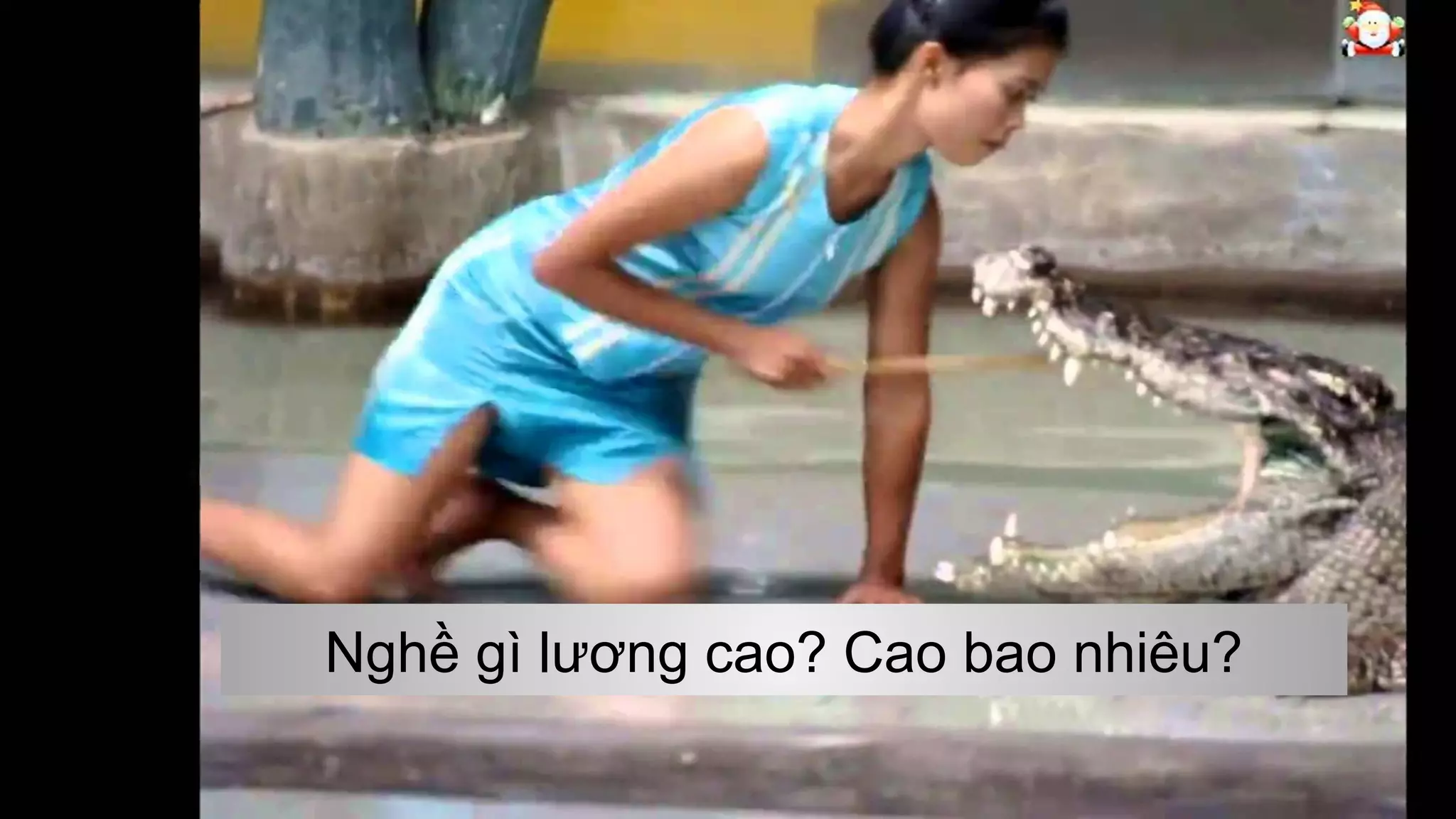 Nghề gì lương cao? Cao bao nhiêu?
 