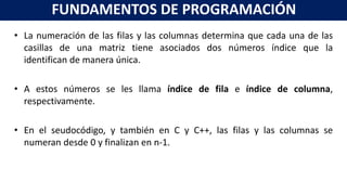 Fundamentos de Programación - Unidad IV: Arreglos (Vectores) | PPTX