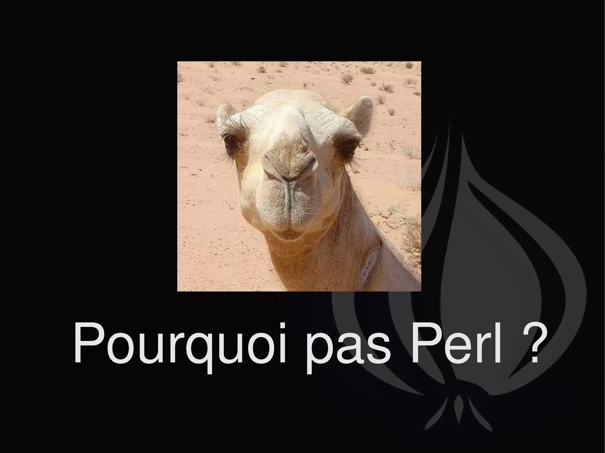 Pourquoi pas Perl ? 