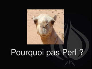 Pourquoi pas Perl ? 