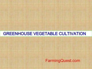 GREENHOUSE VEGETABLE CULTIVATION
FarmingQuest.com
 