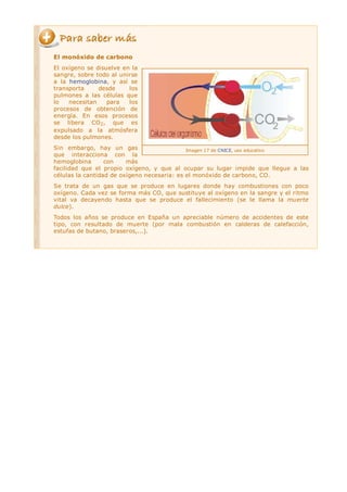 El monóxido de carbono
El oxígeno se disuelve en la
sangre, sobre todo al unirse
a la hemoglobina, y así se
transporta     desde     los
pulmones a las células que
lo   necesitan    para   los
procesos de obtención de
energía. En esos procesos
se libera CO 2, que es
expulsado a la atmósfera
desde los pulmones.
Sin embargo, hay un gas                      Imagen 17 de CNICE, uso educativo
que interacciona con la
hemoglobina       con    más
facilidad que el propio oxígeno, y que al ocupar su lugar impide que llegue a las
células la cantidad de oxígeno necesaria: es el monóxido de carbono, CO.
Se trata de un gas que se produce en lugares donde hay combustiones con poco
oxígeno. Cada vez se forma más CO, que sustituye al oxígeno en la sangre y el ritmo
vital va decayendo hasta que se produce el fallecimiento (se le llama la muerte
dulce).
Todos los años se produce en España un apreciable número de accidentes de este
tipo, con resultado de muerte (por mala combustión en calderas de calefacción,
estufas de butano, braseros,...).
 