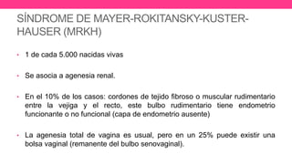 SÍNDROME DE MAYER-ROKITANSKY-KUSTER-
HAUSER (MRKH)
• 1 de cada 5.000 nacidas vivas
• Se asocia a agenesia renal.
• En el 10% de los casos: cordones de tejido fibroso o muscular rudimentario
entre la vejiga y el recto, este bulbo rudimentario tiene endometrio
funcionante o no funcional (capa de endometrio ausente)
• La agenesia total de vagina es usual, pero en un 25% puede existir una
bolsa vaginal (remanente del bulbo senovaginal).
 