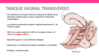 TABIQUE VAGINAL TRANSVERSO
• Son defectos en la fusión entre los conductos de Müller de su
desarrollo cefalocaudal y el seno urogenital en desarrollo
caudocefálico.
• La incidencia estimada de septum vaginal transversal es 1 en
70.000 mujeres
• 46% en la vagina superior, el 40% en la vagina media, y el
14% en la vagina inferior
• Segmento grueso o una membrana delgada.
• Obstructivo y no obstructivo (defecto completo e incompleto)
• Etiología es desconocida
 