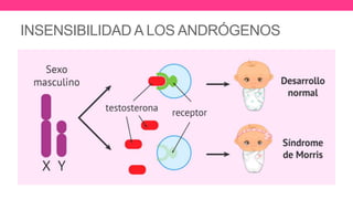 INSENSIBILIDAD A LOS ANDRÓGENOS
 