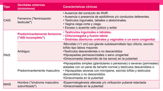 Clasificación de los fenotipos
Tipo
Genitales externos
(sinónimos)
Características clinicas
CAIS
Femenino ("feminización
testicular")
• Ausencia del conducto de Wolff.
• Ausencia o presencia de epidídimos y/o conductos deferentes.
• Testículos inguinales, labiales o abdominales.
• Vagina ciega corta y ciega.
• Escaso o ausente vello púbico y axilar.
PAIS
Predominantemente femenino
("AIS incompleto")
• Testículos inguinales o labiales.
• Clitoromegalia y fusión labial.
• Distintas aberturas uretrales y vaginales o un seno urogenital.
Ambiguo
•Microfalo (<1 cm) con glande subdesarrollado tipo clítoris; escroto
bífido tipo labios mayores
•Testículos descendentes o no descendidos
•Hipospadias perineoscrotales o seno urogenital
•Ginecomastia (desarrollo de los senos) en la pubertad
Predominantemente masculino
•Hipospadias simples (glandulares o peneanas) o severas (perineales)
aisladas con un pene de tamaño normal y testículos descendidos o
• Hipospadias severas con micropene, escroto bífido y testículos
descendidos o no descendidos
•Ginecomastia en la pubertad
MAIS
Hombre ("síndrome masculino
subvirilizado")
•Espermatogénesis alterada y/o virilización puberal retardada
•Ginecomastia en la pubertad
 