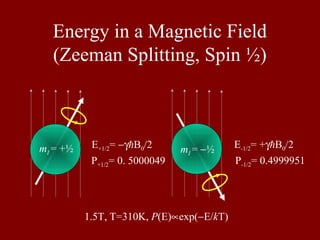 Energy in a Magnetic Field
(Zeeman Splitting, Spin ½)
E+1/2= −γB0/2 E-1/2= +γB0/2
P+1/2= 0. 5000049 P-1/2= 0.4999951
1.5T, T=310K, P(E)∝exp(−E/kT)
mI = +½ mI = −½
 