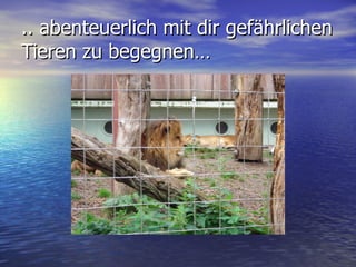 .. abenteuerlich mit dir gefährlichen Tieren zu begegnen… 