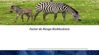 Factor de Riesgo BioMecánico
PRIMEROS AUXILIOS
 