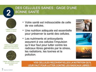 2
                               • Votre santé est indissociable de celle
                                 de vos cellules.
      Cellules humaines
      saines en culture        • Une nutrition adéquate est essentielle
                                 pour préserver la santé des cellules.
                               • Les nutriments et antioxydants
                                 assurent à vos cellules l’impulsion
   Cellules endommagées
    après ajout de produits
                                 qu’il leur faut pour lutter contre les
  digérés d’un repas-minute      radicaux libres générés par le stress,
                                 les radiations, les toxines et la
                                 pollution.

 Cellules semblables lorsque
    des antioxydants sont
            ajoutés


7 Santé et Liberté
 