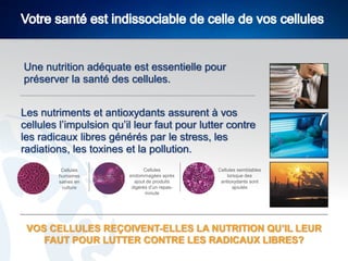 Une nutrition adéquate est essentielle pour
préserver la santé des cellules.
Les nutriments et antioxydants assurent à vos
cellules l’impulsion qu’il leur faut pour lutter contre
les radicaux libres générés par le stress, les
radiations, les toxines et la pollution.
Cellules
humaines
saines en
culture

Cellules
endommagées après
ajout de produits
digérés d’un repasminute

Cellules semblables
lorsque des
antioxydants sont
ajoutés

VOS CELLULES REÇOIVENT-ELLES LA NUTRITION QU’IL LEUR
FAUT POUR LUTTER CONTRE LES RADICAUX LIBRES?

 