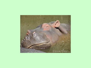 Fr 1 wat oat practice 2