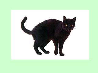 Fr 1 wat oat practice 2