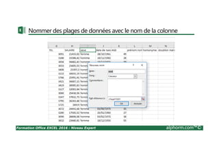 Formation Office EXCEL 2016 : Niveau Expert alphorm.com™©
Nommer des plages de données avec le nom de la colonne
 