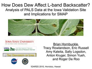 How Does Dew Affect L-band Backscatter?
 Analysis of PALS Data at the Iowa Validation Site
             and Implications for SMAP




                                  Brian Hornbuckle,
                            Tracy Rowlandson, Eric Russell
                              Amy Kaleita, Sally Logsdon,
                              Anton Kruger, Simon Yueh,
                                  and Roger De Roo

                IGARSS 2010, Honolulu, Hawaii
 