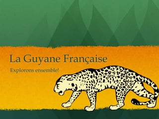 La Guyane Française
Explorons ensemble!
 