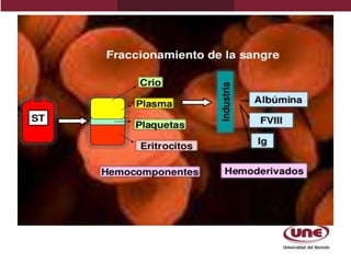 Fraccionamiento de la sangre 10.pdf
