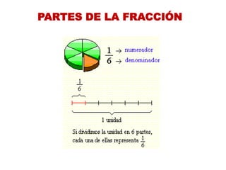 PARTES DE LA FRACCIÓN  