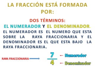 LA FRACCIÓN ESTÁ FORMADA
POR:
DOS TÉRMINOS:
.
EL NUMERADOR ES EL NUMERO QUE ESTA
SOBRE LA RAYA FRACCIONARIA Y EL
DENOMINADOR ES EL QUE ESTA BAJO LA
RAYA FRACCIONARIA.
RAYA FRACCIONARIA
 
