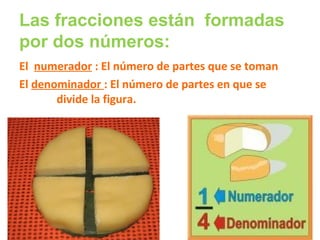 Las fracciones están formadas
por dos números:
El numerador : El número de partes que se toman
El denominador : El número de partes en que se
divide la figura.