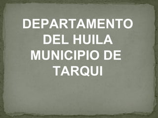 DEPARTAMENTO
  DEL HUILA
 MUNICIPIO DE
   TARQUI
 