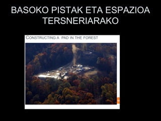 BASOKO PISTAK ETA ESPAZIOA
TERSNERIARAKO
 